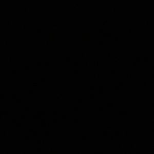 Meet your Posher, Cecilia